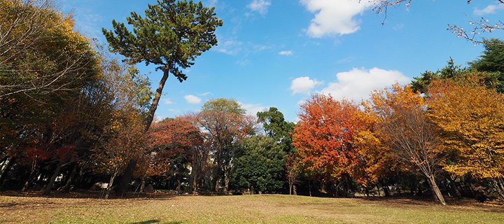 土地を探す